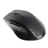 Souris