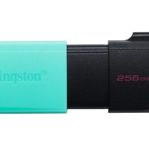 Kingston Technology DataTraveler 256GB USB3.2 Gen1 Exodia M (Noir + Turquoise)
