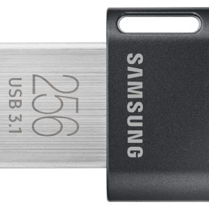 Samsung MUF-256AB lecteur USB flash 256 Go USB Type-A 3.2 Gen 1 (3.1 Gen 1) Gris, Argent