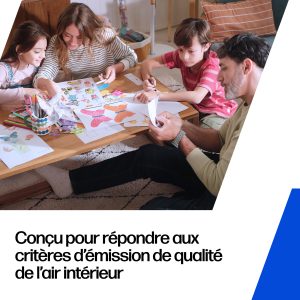 HP 300 cartouche d'encre trois couleurs authentique